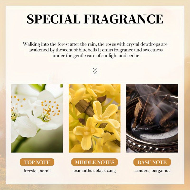 Collagen Hand Cream Set – 3 - Piece Hydrating & Anti - Aging Moisturizer - CosmétiquebyLyria